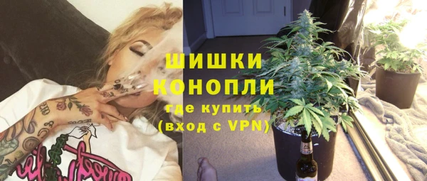 соль ск Ветлуга