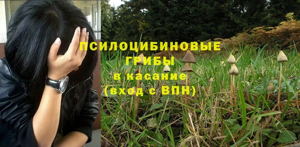 дживик Нефтекумск