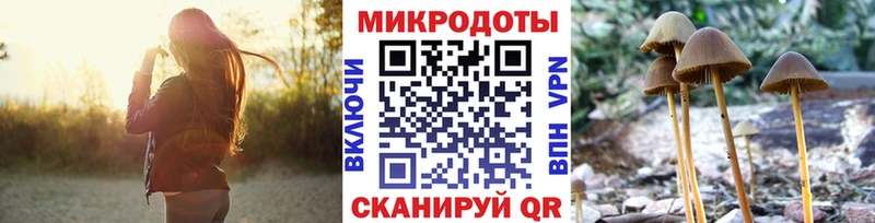 KRAKEN зеркало  дарк нет какой сайт  Псилоцибиновые грибы Psilocybine cubensis  Магадан 
