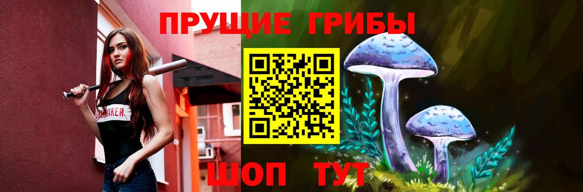 Галлюциногенные грибы мухоморы Магадан